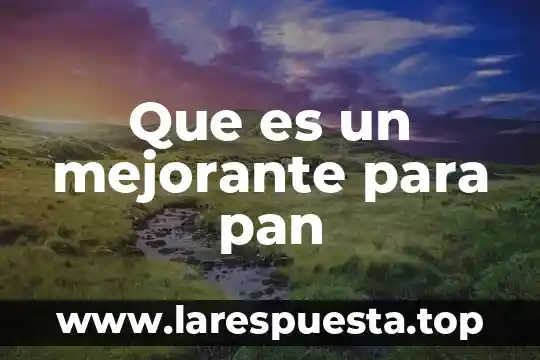 Que es rectificador monofásico controlado de onda completa 3 Que es un mejorante para pan