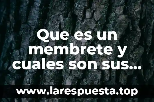 Que es la ofimatica y cuales son sus herraminetas 5 Que es un membrete y cuales son sus elementos