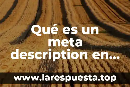 Qué es un meta description en marketing