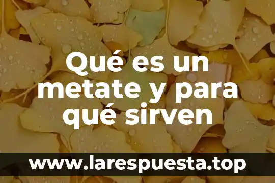 Que es y para que sirven las bocinas de computadora 8 Qué es un metate y para qué sirven