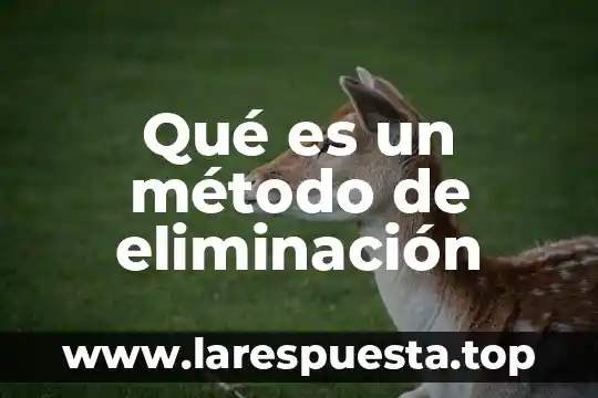 Que es el metodo de la fenomenologia 8 Qué es un método de eliminación