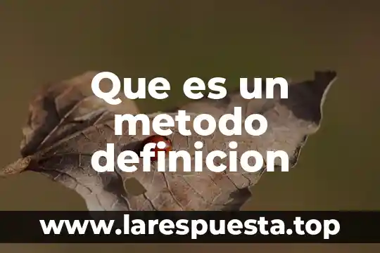 Que es un metodo definicion