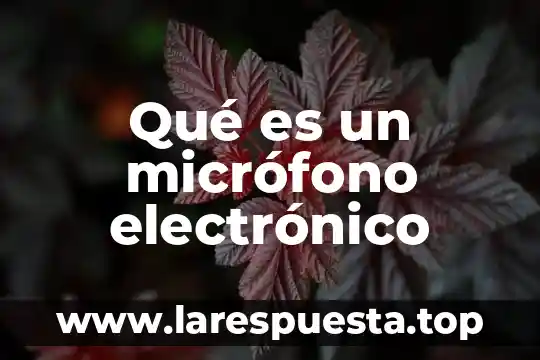 Que es el comercio electronico en facebook 6 Qué es un micrófono electrónico