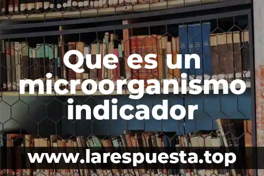 Que es un indicador y como se clasifican 8 Que es un microorganismo indicador