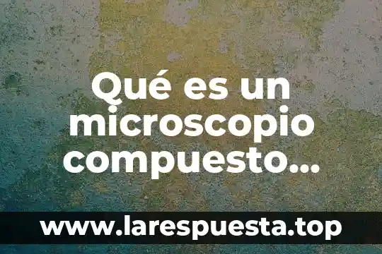 Qué es un microscopio compuesto libro