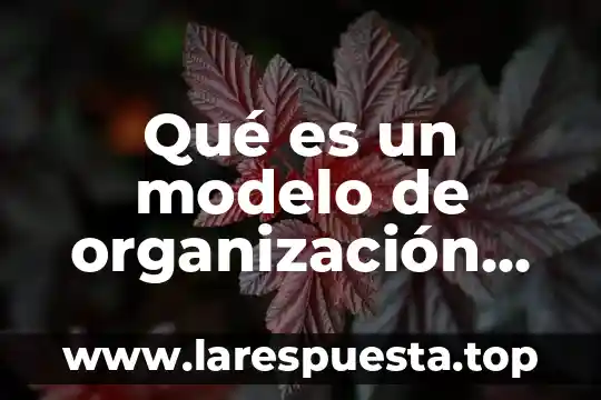 Que es la externalización economica 5 Qué es un modelo de organización económica