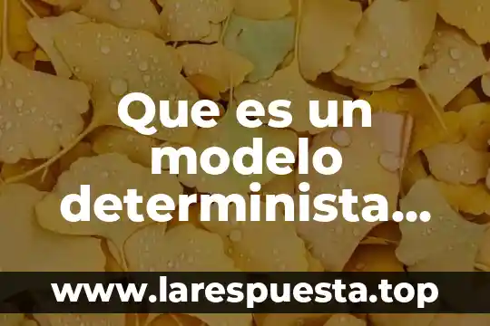 Qué es una simulación física 8 Que es un modelo determinista en simulacion