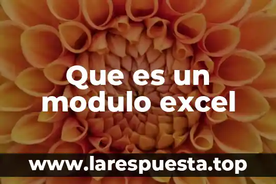 Que es un modulo excel