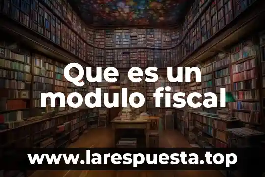 Que es un modulo fiscal