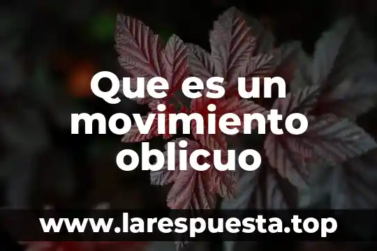 Qué es un lanzamiento horizontal o tiro parabólico características 8 Que es un movimiento oblicuo