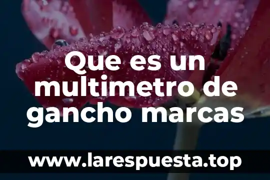 Que es el.instituto que regula las marcas 4 Que es un multimetro de gancho marcas