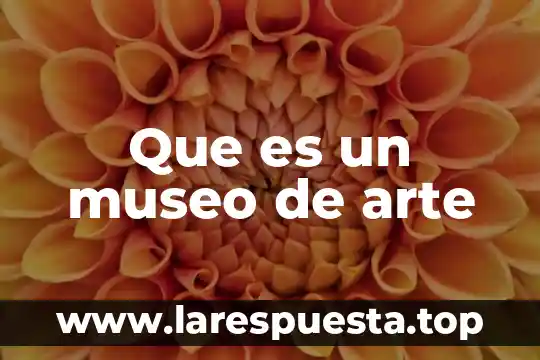 Que es un museo de arte