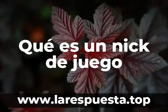 Qué es un nick de juego