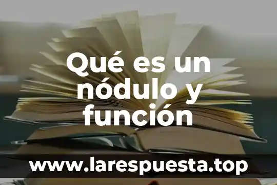 Que es la funcion del ovario 8 Qué es un nódulo y función