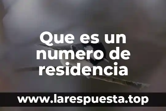 Que es residencia fiscal y en articulo establece 7 Que es un numero de residencia
