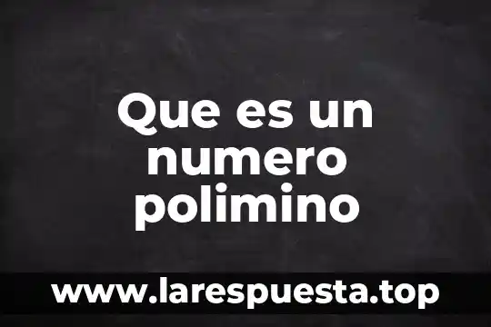 Que es un numero polimino
