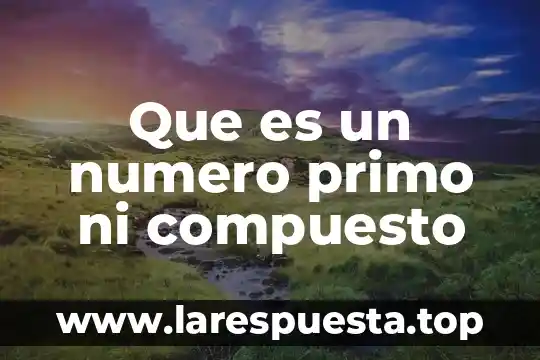Que es un numero primo ni compuesto