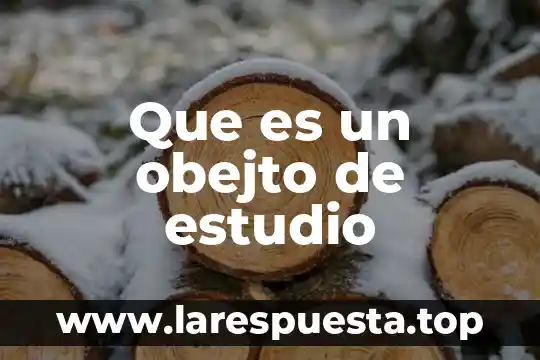 Que es el estudio para noam chomsky 4 Que es un obejto de estudio