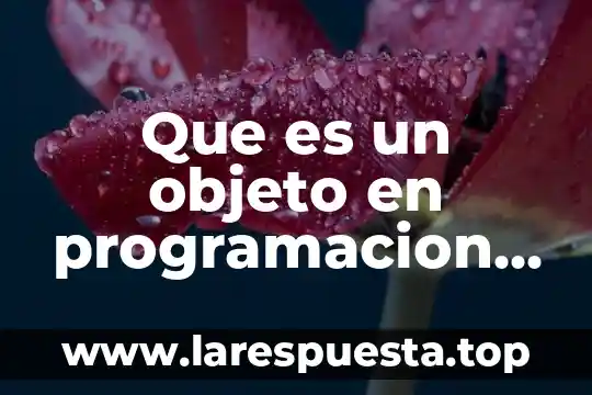 Que es la programación y sus aplicaciones 6 Que es un objeto en programacion elhacker
