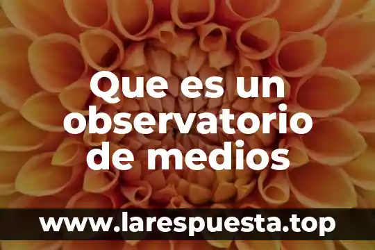 Que es medios de educacion masivos 5 Que es un observatorio de medios