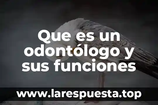 Qué es frecuencia en funciones periódicas 4 Que es un odontólogo y sus funciones