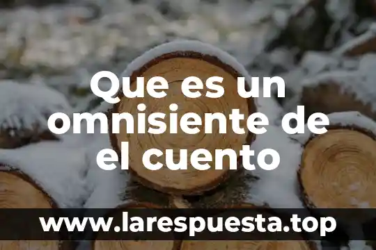 Que es un omnisiente de el cuento