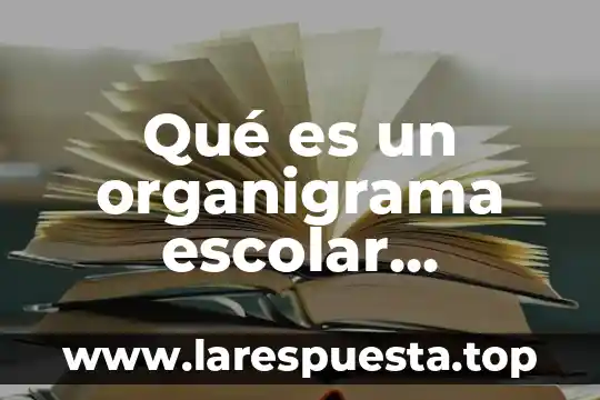 Qué es un organigrama organizacional 4 Qué es un organigrama escolar concepto