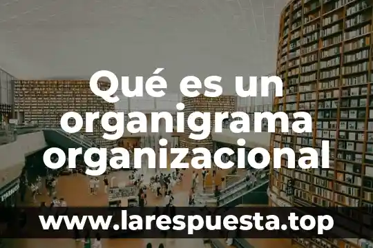 Que es organigrama y flujo de informacion 3 Qué es un organigrama organizacional