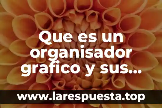 Que es un organisador grafico y sus caracteristicas