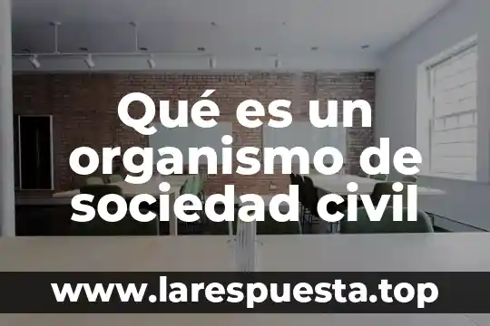 Qué es un organismo de sociedad civil