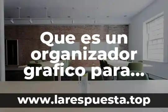 Que es un organizador grafico para 2do de primaria