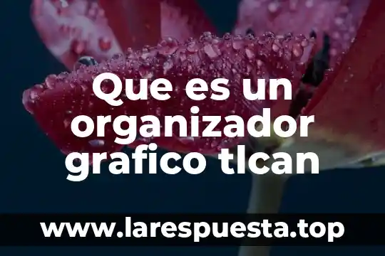 Que es un organizador grafico tlcan
