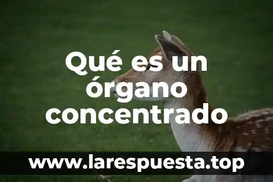 Para que es buena la concentrado de jamaica 5 Qué es un órgano concentrado