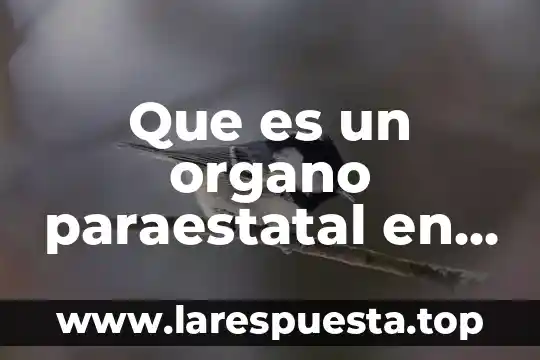 Que es un organo paraestatal en mexico