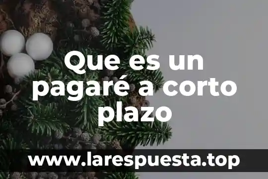 Que es costo en el largo plazo 3 Que es un pagaré a corto plazo
