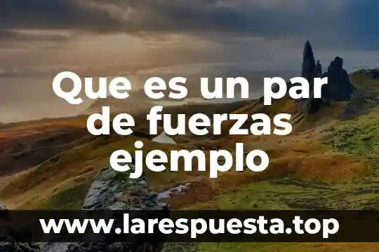 Qué es el teorema y un ejemplo 3 Que es un par de fuerzas ejemplo