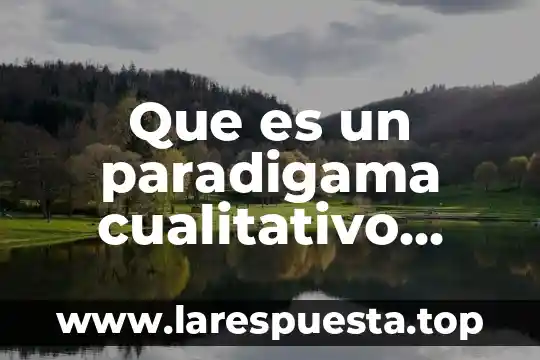 Que es un paradigama cualitativo concepto