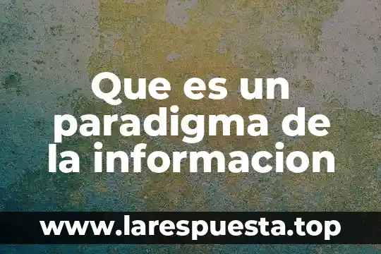 Que es un paradigma de la informacion