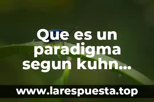 Que es un paradigma segun kuhn slideshare