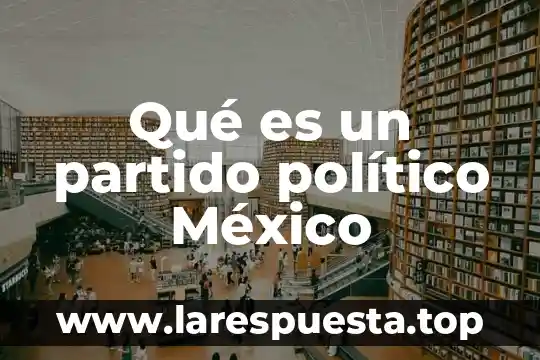 Qué es un partido político México