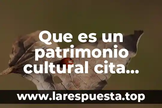 Qué es un texto instructivo textual y gráfico 8 Que es un patrimonio cultural cita textual