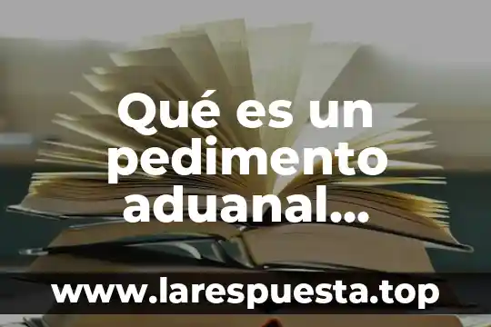 Qué es un pedimento aduanal definición