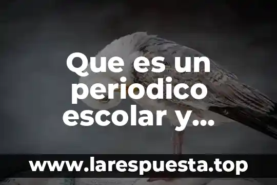 Que es un periodico escolar y cuales son sus caracteristicas