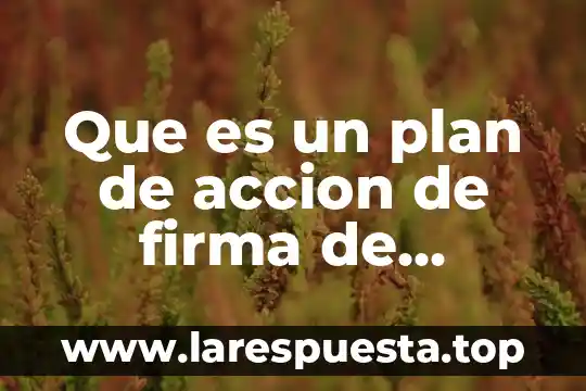 Que es la firma para los contratos 5 Que es un plan de accion de firma de arquitectos