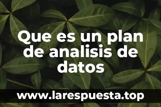 Que es diseño de plan de vida 4 Que es un plan de analisis de datos