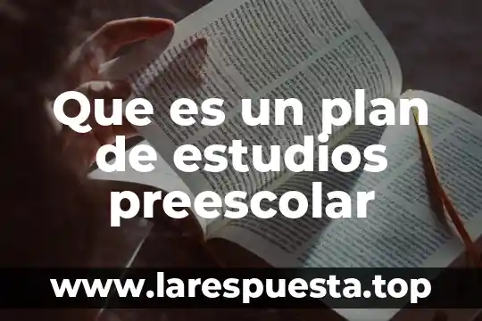 Que es diseño de plan de vida 6 Que es un plan de estudios preescolar