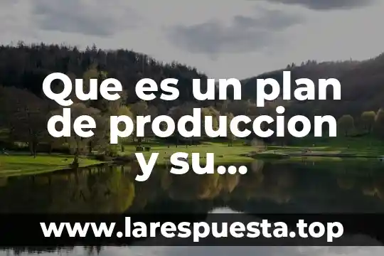 Que es un plan de produccion y su importancia