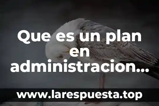 Que es un plan en administracion de empresas