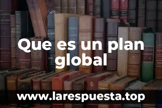 Que es plan de inventario 5 Que es un plan global