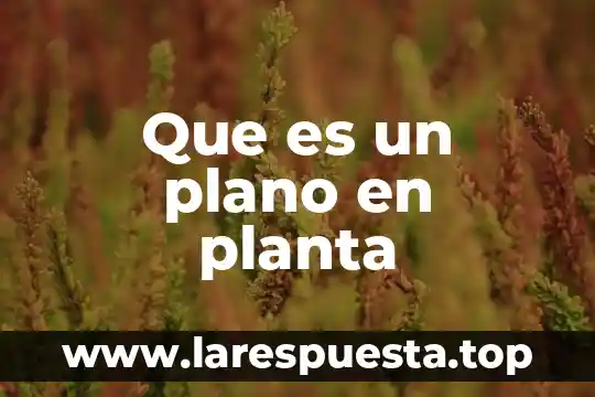 Que es un plano en planta